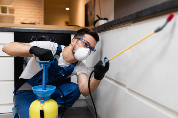 Best Bed Bug Extermination  in Dodge City, KS