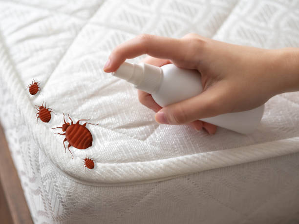 Best Mosquito Control Services  in Dodge City, KS