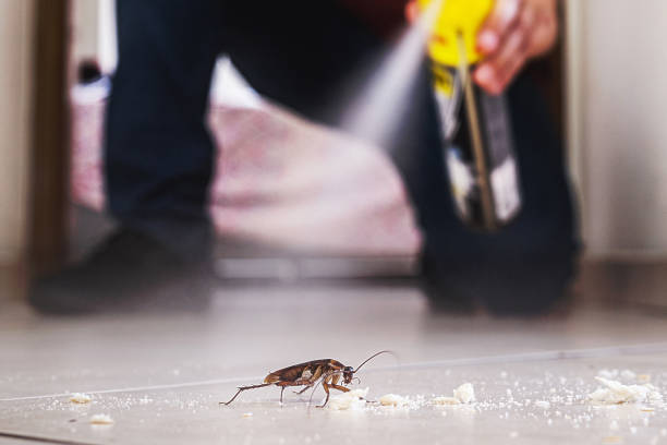 Best Wildlife Control Services  in Dodge City, KS