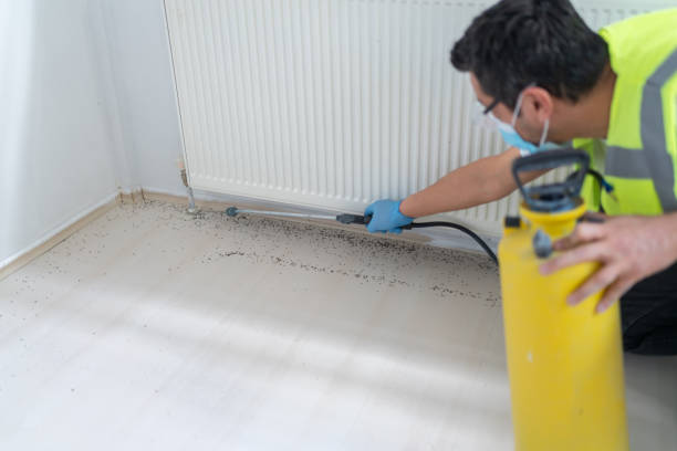 Best Affordable Pest Control Services  in Dodge City, KS